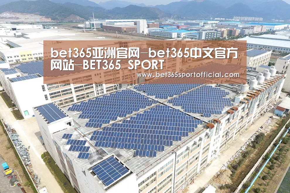 案例展示四