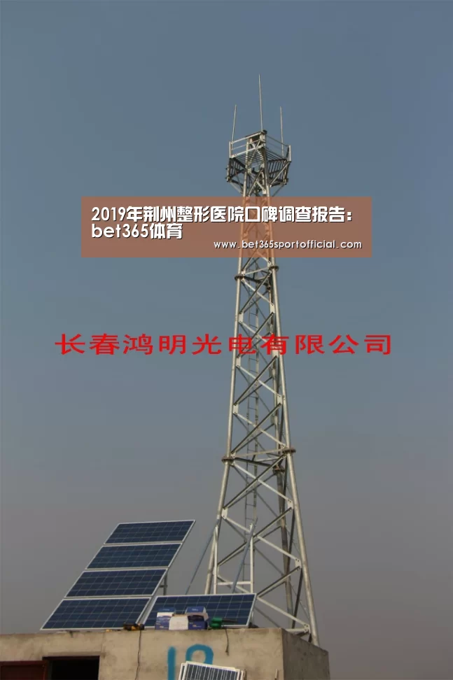 2019年荆州整形医院口碑调查报告：bet365体育(图3)